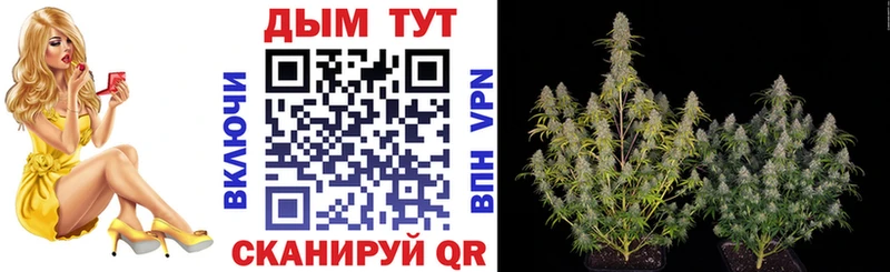 Наркотические вещества Серпухов СК  Канабис  MEGA как войти  Галлюциногенные грибы  ГАШИШ  МЕФ 