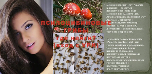 сатива Лихославль
