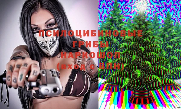спиды Лагань