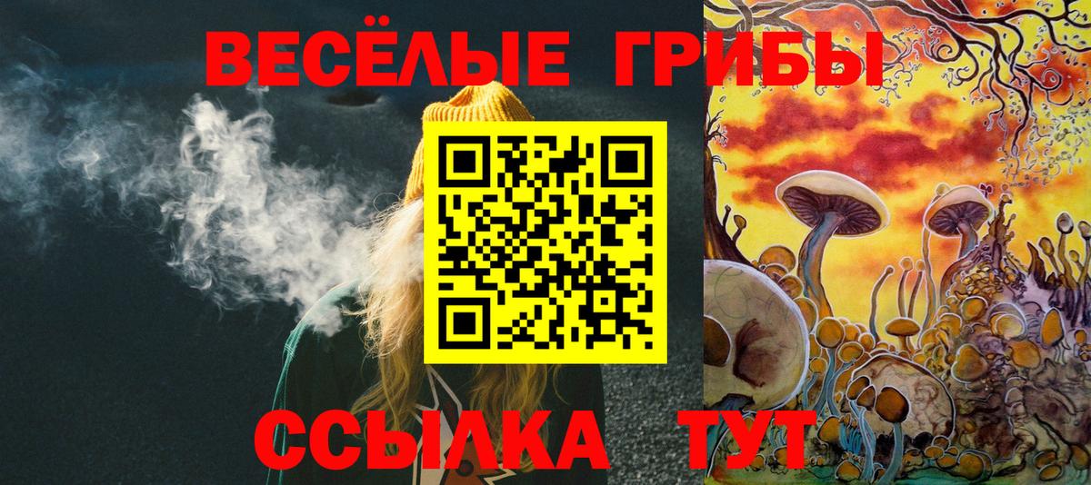 Галлюциногенные грибы GOLDEN TEACHER Серпухов